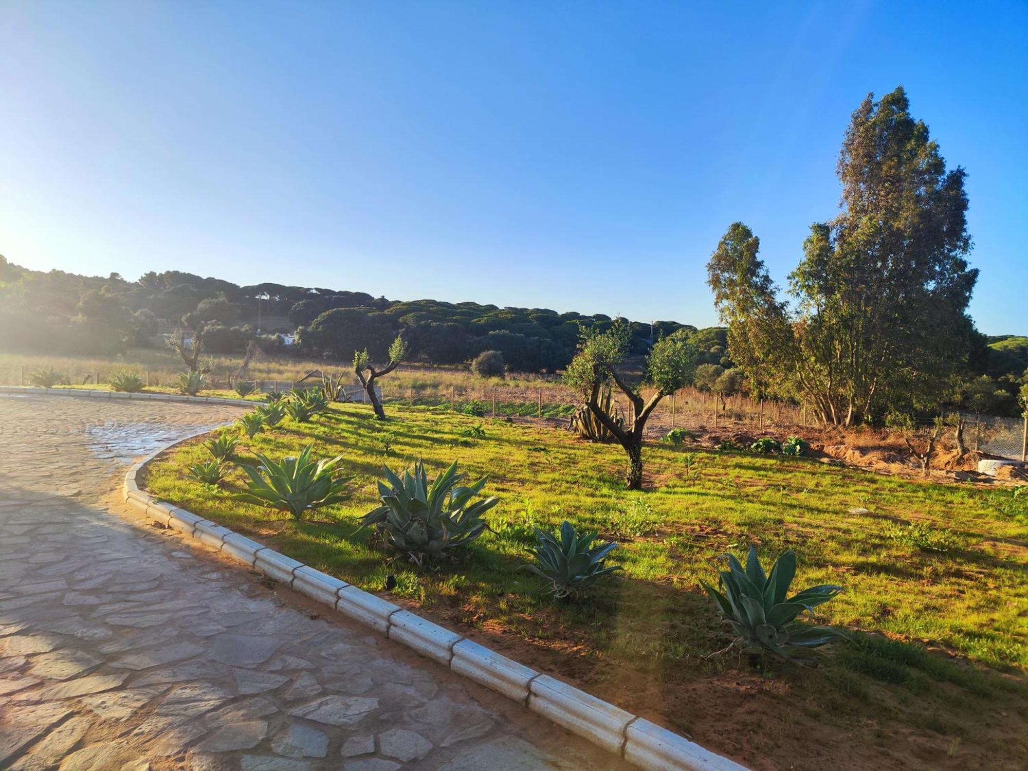 Hacienda La Yerbabuena Villa Cadiz Luaran gambar